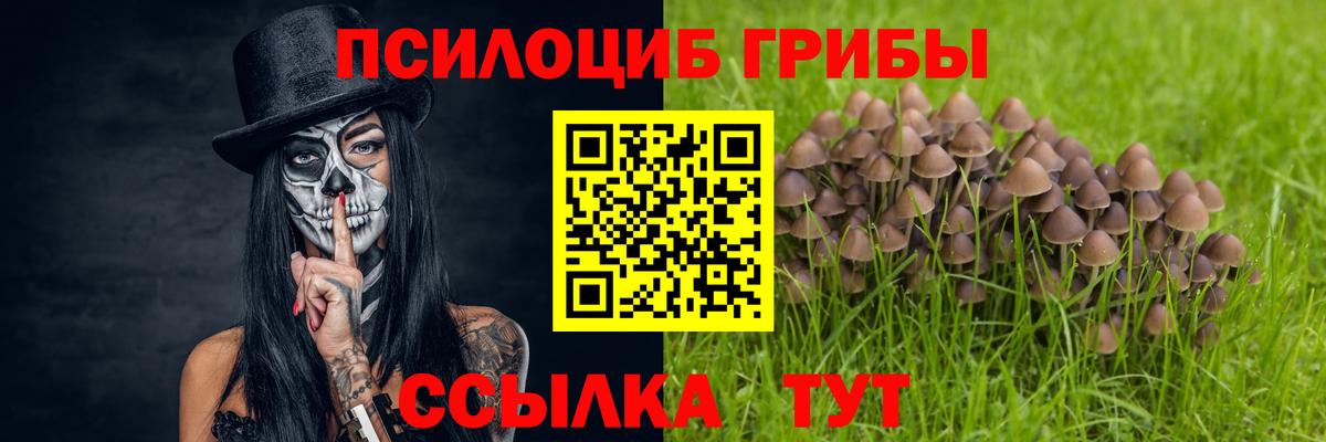 хочу   Псилоцибиновые грибы прущие грибы  Вход с VPN  Ливны 